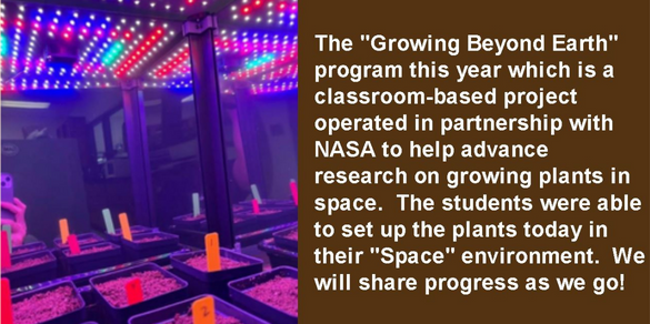 Space Plants