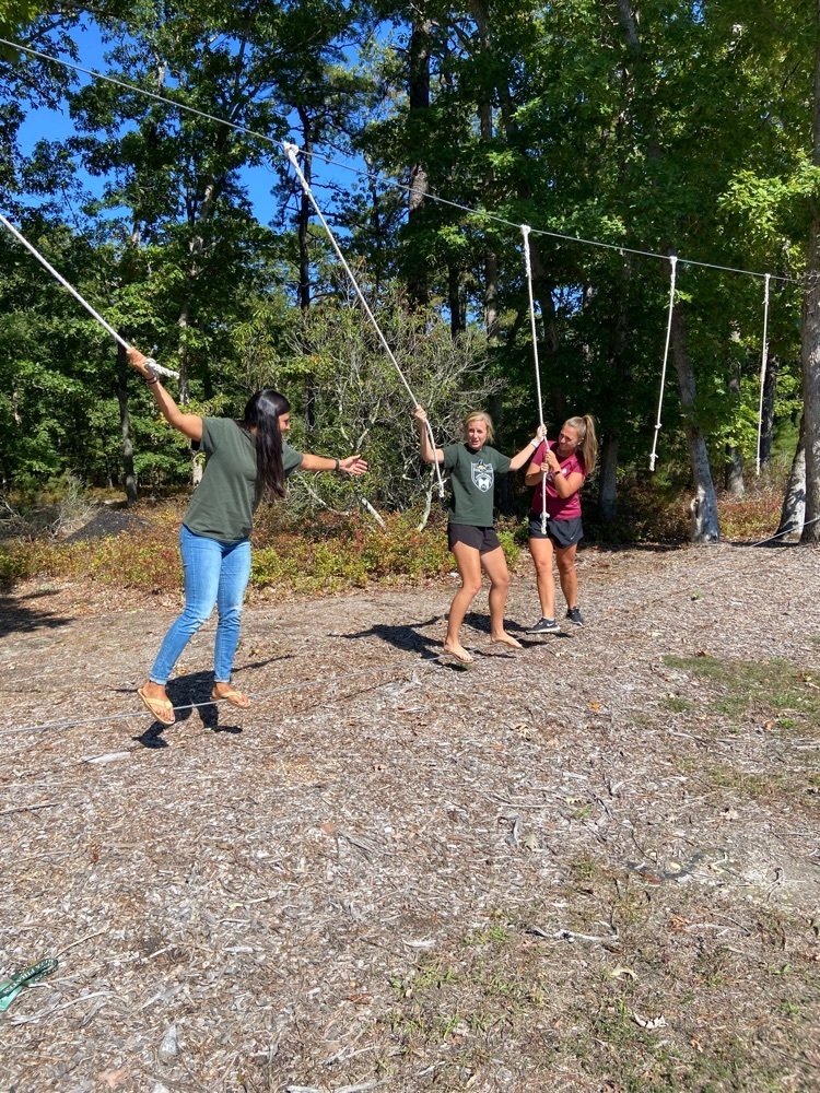 teachers doing low ropes a course 