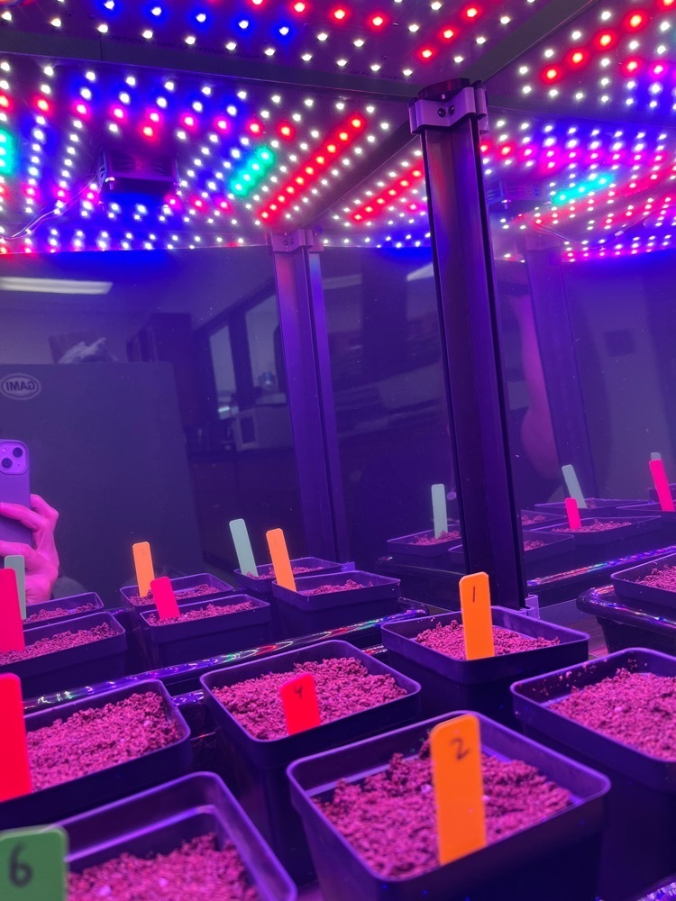 Getting ready to grow food in “space."