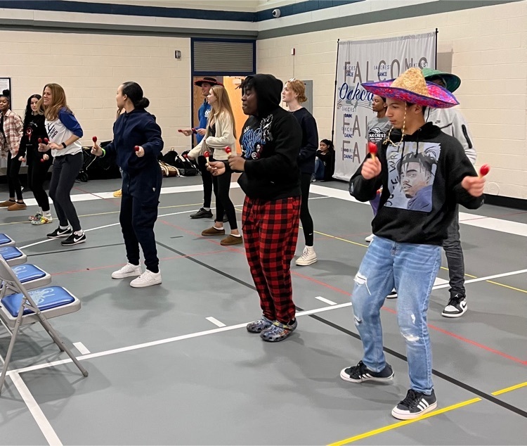 Oakcrest students held their annual World Language fair, celebrating various countries and cultures around the world! Such a fun day filled with art, food, dancing, trivia, games, and more!