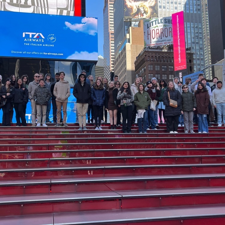 Pirates in Time Square